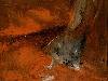 terre de sienne 52 x 72
